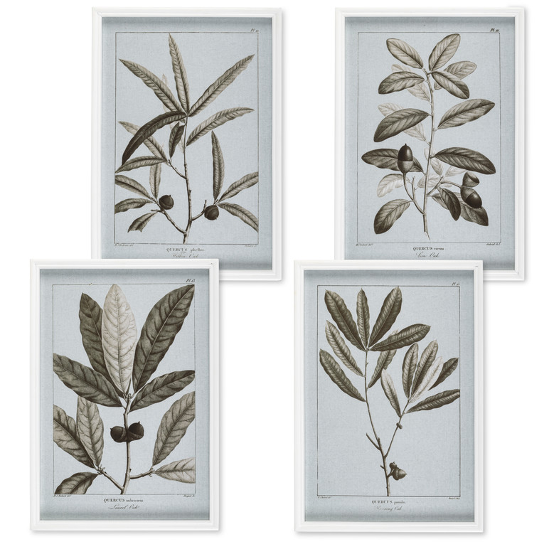 Image 1 Image 1