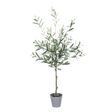 4ft Olive Tree with Plastic Pot - 2 Pieces