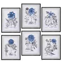 Framed Botanical Floral Art - 6 Pieces