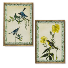 Framed Botanical Bird & Plant Print Wall Art - 2 Pieces