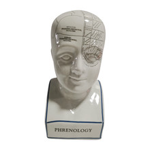 Porcelain, 12" Phrenology Bust, White