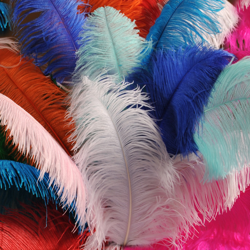Large Ostrich Plume Feathers Bulk - Dyed & Natural