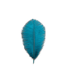 orchid feathers wholesale