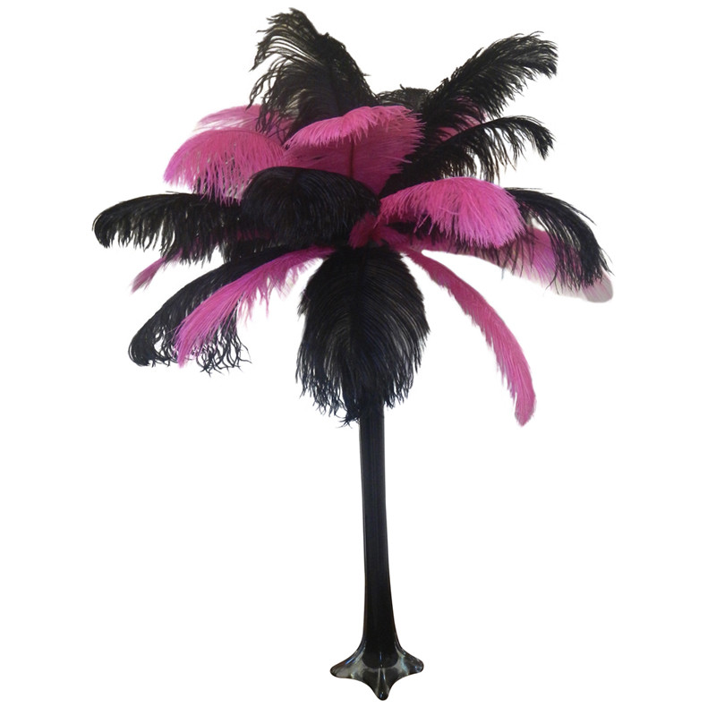 pink and black ostrich feathers