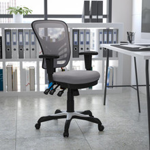 Mid-Back Gray Mesh Multifunction Executive Swivel Ergonomic Office Chair with Adjustable Arms [FLF-HL-0001-GY-GG]