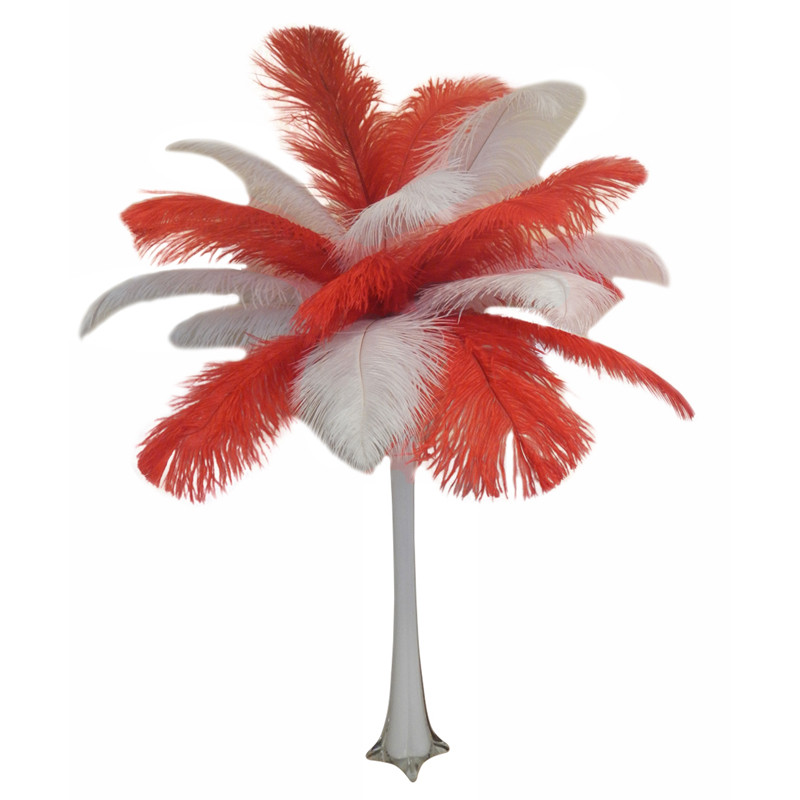 red ostrich feathers centerpieces