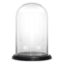 Case of 2 - Glass Cloche Display Dome With Black Wood Base, H-16" D-11"