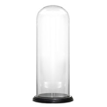 Case of 2 - Glass Cloche Display Dome With Black Wood Base, H-22" D-10"