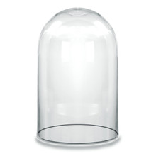Case of 2 - Glass Cloche Display Dome, H-19.5" D-11.75"