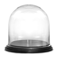 Case of 2 - Glass Cloche Display Dome With Black Wood Base, H-11" D-11"