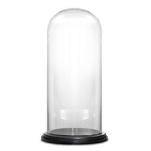 Case of 2 - Glass Cloche Display Dome With Black Wood Base, H-20" D-11"