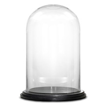 Case of 2 - Glass Cloche Display Dome With Black Wood Base, H-20.5" D-13"