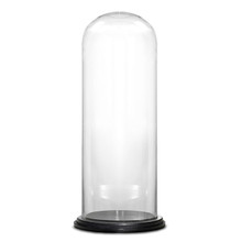 Case of 2 - Glass Cloche Display Dome With Black Wood Base, H-28.5" D-13"
