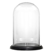 Case of 4 - Glass Cloche Display Dome With Black Wood Base, H-11" D-7"