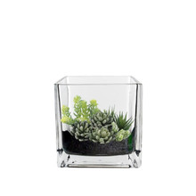 Case of 6 - Glass Cube Vase, 4.75" x 4.75" x 4.75"