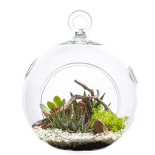 Case of 6 - Glass Hanging Orb Plant Terrarium Tealight Candle Holder, H-9" D-8"