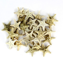 Case of 4 - Natural White Knobby Textured Starfish, 1"-2" (Wholesale 120 PCS/Case)