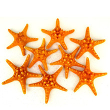 Case of 4 - Sunset Orange Knobby Textured Starfish, 5"-7" (Wholesale 48 PCS/Case)