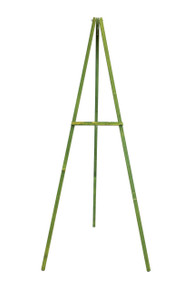 Wooden Floral Easel, Green Stained Wood - 60" - Case of 12