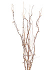 Case of 6 Willow Branch Convertible 39" High