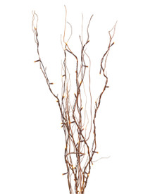 Case of 6 Willow Branch Convertible 39" High