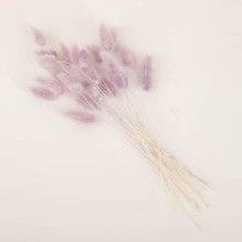 Case of 50 Packs | 15" Lavender Lilac Rabbit Tail Dried Pampas Grass Stem Bouquets, Boho Flower Arrangement Sprays