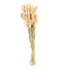 Case of 50 Packs | 15" Natural Rabbit Tail Dried Pampas Grass Stem Bouquets, Boho Flower Arrangement Sprays
