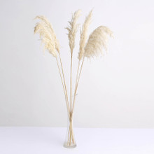 Case of 24 Stems | 32" Wheat Tint Dried Natural Pampas Grass Plant Sprays