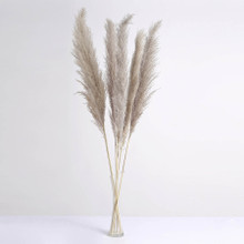 Case of 24 Stems | 49" Natural Tint Dried Natural Pampas Grass Plant Sprays