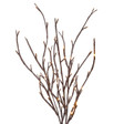 Case of 6 Brown Branch Convertible 39" High