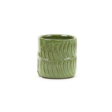 Medium Green Fern Cylinder Vase - 4.5" D X 4.7" H - 16 Pieces