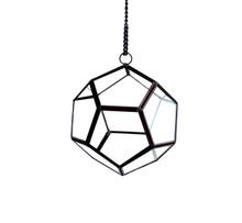 Dodecahedron Geometric Glass Terrarium 5.5" X 6"  - 12 Pieces
