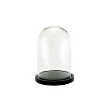 Medium Glass Dome Cloche With Black Wood Base - 16"  - 2 Pieces
