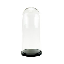 XL Glass Dome Cloche With Black Wood Base - 25" - 2 Pieces