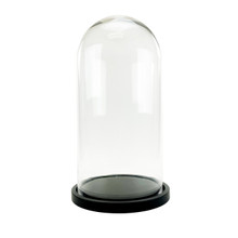 Large Glass Dome Cloche With Black Wood Base - 21" - 2 Pieces