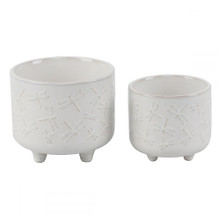 Case of 8 6" & 4.75" All Over Dragonfly Ceramic Footed Planter, Set Of 2