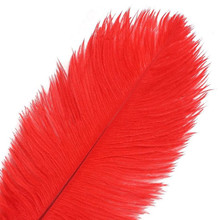 120 Red Ostrich Feathers (12-16 Inch)