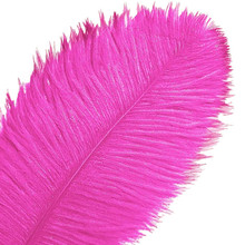 120 Hot Pink Ostrich Feathers (12-16 Inch)