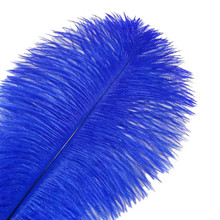 120 Royal Blue Ostrich Feathers (12-16 Inch)