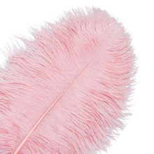 120 Light Pink Ostrich Feathers (12-16 Inch)