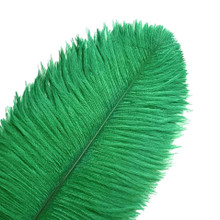 120 Green Ostrich Feathers (12-16 Inch)