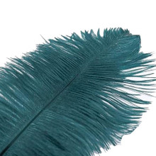 120 Teal Ostrich Feathers (12-16 Inch)