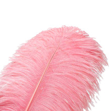 120 Pink Ostrich Feathers (12-16 Inch)
