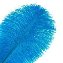 120 Turquoise Ostrich Feathers (12-16 Inch)