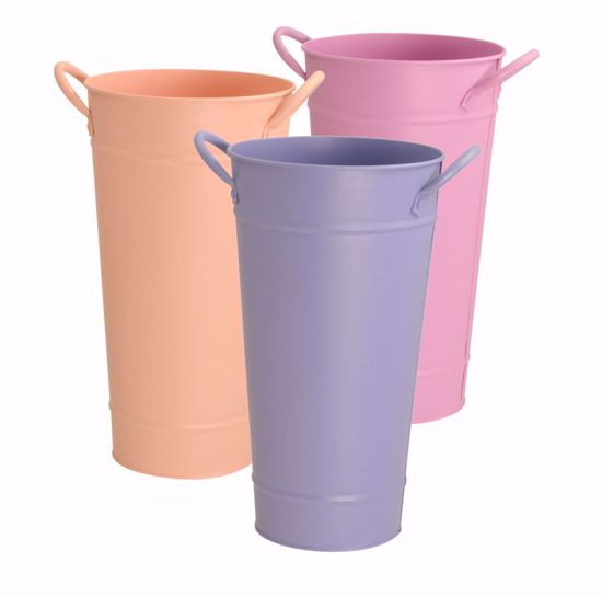 Image 1 Image 1