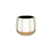 12 Pcs - 6 Inch Ceramic White/Sand Two-Toned Cactus Planter Pot