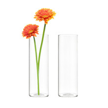 Glass Cylinder Bud Vase 10" - 24 Pieces