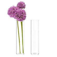 Glass Cylinder Bud Vase 14" - 18 Pieces