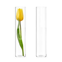 Glass Cylinder Bud Vase 16" - 18 Pieces