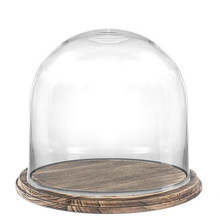 Glass Dome with Wooden Brown Base 11" - 2 Pieces